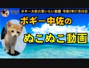 ボギー中佐のぬこぬこ動画　ボギー大佐の言いたい放題　2021年07月06日　21時頃　放送分
