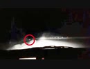 おったん　山奥でシカと遭遇する