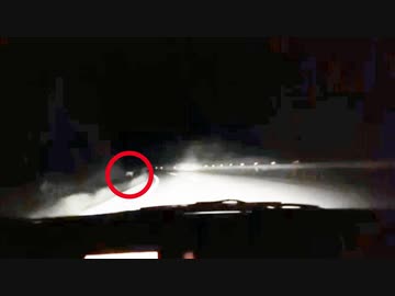 おったん　山奥でシカと遭遇する