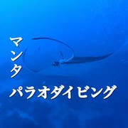 マンタダイブ【ジャーマンチャネル】龍馬クルーズ