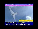 サーボ駆動翼竜型羽ばたき　ランフォリンクス93-2 試験飛行2