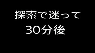 死んだ数を数えながらDARK SOULS3実況してみたPart.018