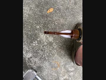 カブのオイル漏れチェックしてみた