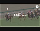 愛馬を育てる ダービースタリオン｜実況プレイ Part7