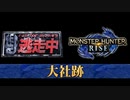 モンハンライズで逃走中やってみた　大社跡