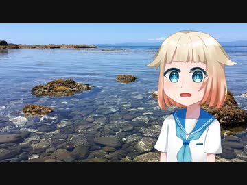 【CeVIO】ONEと一緒に海を見るだけの動画
