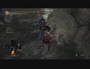 ボロ負け闇霊の侵入　パート4