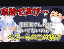 麻酔で声がガサガサなぺこーら、歯医者に物申す【兎田ぺこら】