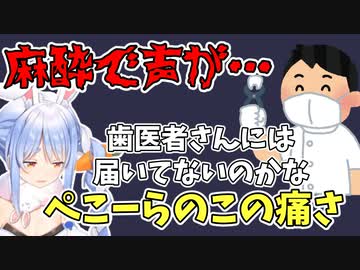 麻酔で声がガサガサなぺこーら、歯医者に物申す【兎田ぺこら】