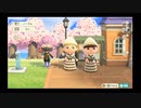人生初の「あつまれ どうぶつの森」をまったりプレイ（3日目 パート7）【#ゲーム実況・ピヨ / Animal Crossing New Horizons】