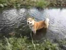 2008水遊び…