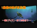 1歳差の妹が反抗期【タートルトーク】東京ディズニーシー