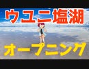 アニメのオープニングでありがちなこと