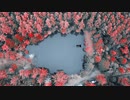【4Kドローン空撮】山の中の池 DJI Mavic2 Pro Premior Pro FRARED LUT