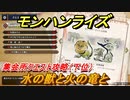 モンハンライズ　集会所クエスト攻略（下位）　水の獣と火の竜と　＃６２０【ＭＨＲ】
