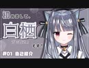 【自己紹介】はじめまして、白栖です！【 新人Vtuber 】