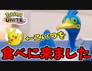 【実況】体験版ポケモンUNITEでたわむれる Part5 その辺にいたウッウ