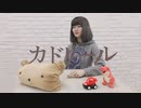 【衣舞カノン】カドリール　踊ってみた【オリジナル振付】