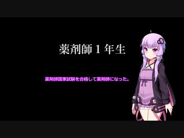 薬剤師１年生