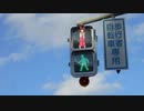 ピヨピヨ信号神社.onkyousikisingouki