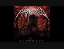 Martyr Defiled - Ecophagy