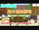 【ゆっくり長崎観光】長崎市のコロナ感染者数が少ない理由とは・・・？　茂木道無縁塔