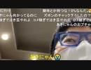 【コメント有】ニンポー 2021年07月08日19時40分 帰宅【ニコ生録画】