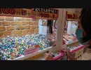 【ゲームセンター】ミニクレーンゲームでチョコレートをGETするあい❤母のアドバイス通りにすると採れない…