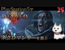 【ゾンビが屍術！】ディアブロ3 リーパー オブ ソウルズ 実況プレイ #15【PS5】