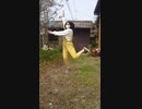 《二田きぃ》45秒でなにができる  踊ってみた(？)