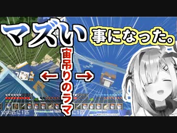 行商人のラマを保護するつもりが宙吊りにしてしまうかなた