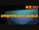 【新型コロナ】修学旅行がなくなってしまいました【タートルトーク】東京ディズニーシー