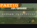 【ゼルダの伝説BotW】#10「平凡な村人と独特な技術」