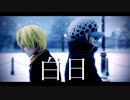 【MMDワンピ】サンジとローで白日【北の海組】