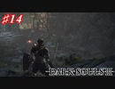 【初見実況】ゲーム下手がダークソウルⅢもクリアするまで その１４【DARK SOULSⅢ 】