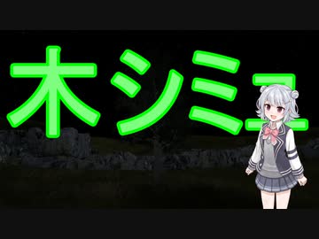 木シミュをやることになった六花ちゃん