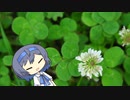 【CeVIO写真】今日も写真でのんびり雑談＿53枚目【白詰草と四葉のクローバー】