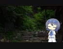 【CeVIO写真】今日も写真でのんびり雑談＿55枚目【喧騒の消えた神社】