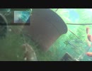 平沢進 14th ALBUM BEACON   自宅のベランダ水槽ダイジェスト付き