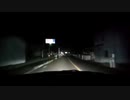 道路のゴミをノコギリクワガタと間違えてキレるおったん