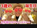 まらおとぬぷこの4時間14歳の誕生日！15分間の全エ炉動画のメッサカワカワシーンメドレー！