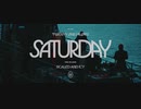 Twenty One Pilots - Saturday