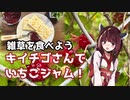 【思い切って野草を食べてみよう】#24 キイチゴさんで「いちごジャム」！