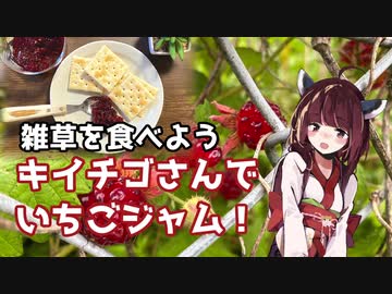 【思い切って野草を食べてみよう】#24 キイチゴさんで「いちごジャム」！
