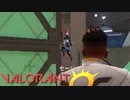 【VALORANT】ニコニコにヴァロ投稿してる奴いるぅ？！？！？！