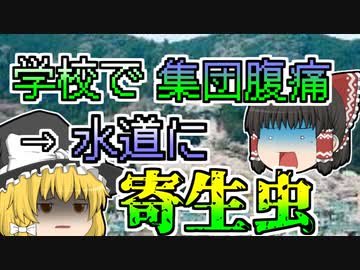 【1996年】小中学校で集団腹痛 原因は意外なところに･･･『寄生虫クリプトスポリジウム』