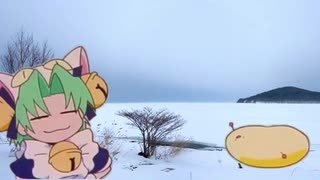 来たにょ国から