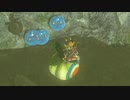 依頼を受けて、コログ風船に乗ったりして遊んでみた