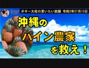沖縄のパイナップル農家を救え！　ボギー大佐の言いたい放題　2021年07月10日　21時頃　放送分