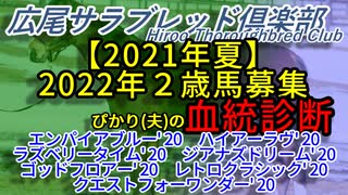 【血統診断】【2021年夏】広尾サラブレッド倶楽部 2022年度2歳馬編